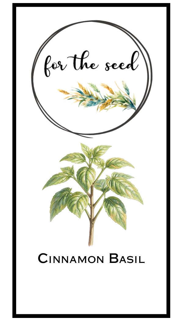 Cinnamon Basil