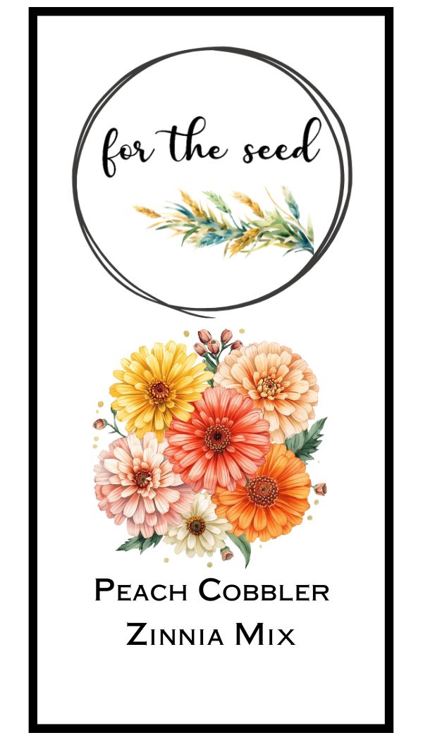 Peach Cobbler Zinnia