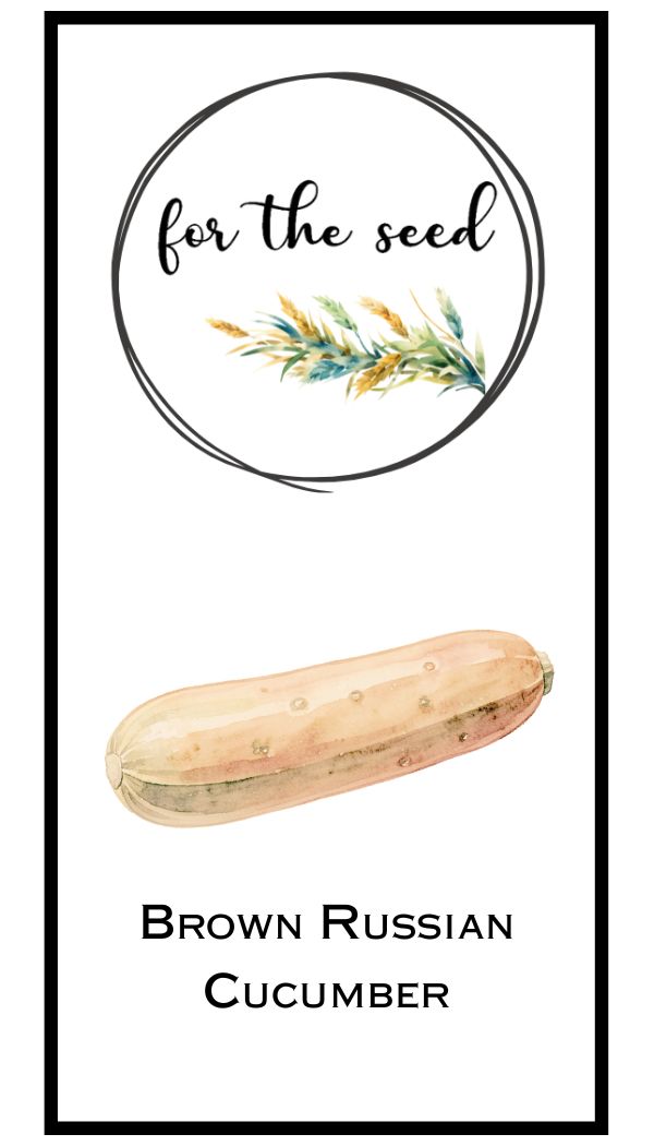 Brown Russian Cucumber
