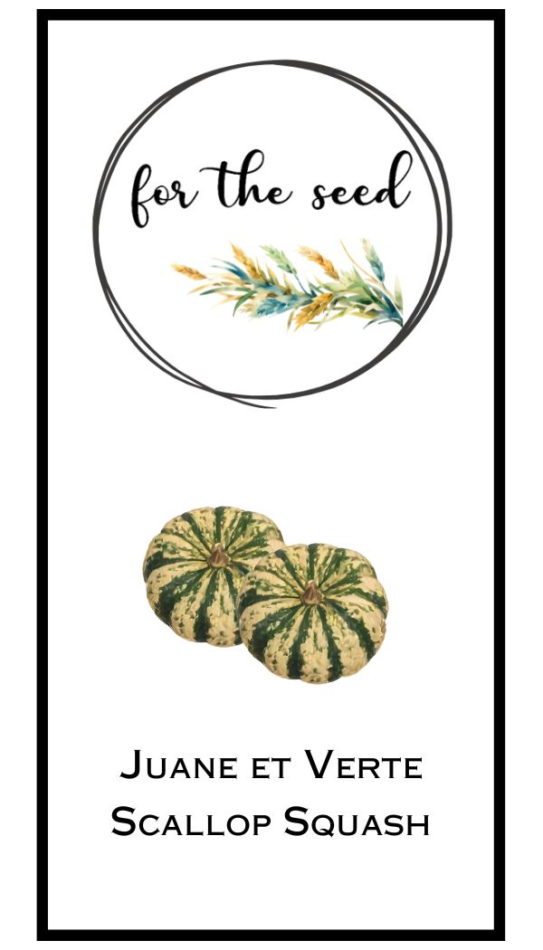 Juane et Verte Scallop Squash