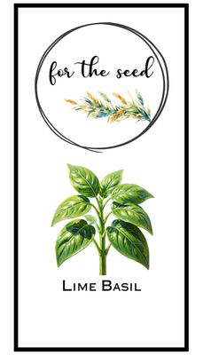 Lime Basil