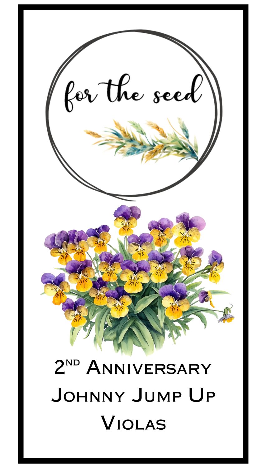 2nd Anniversary Johnny Jump Up Violas