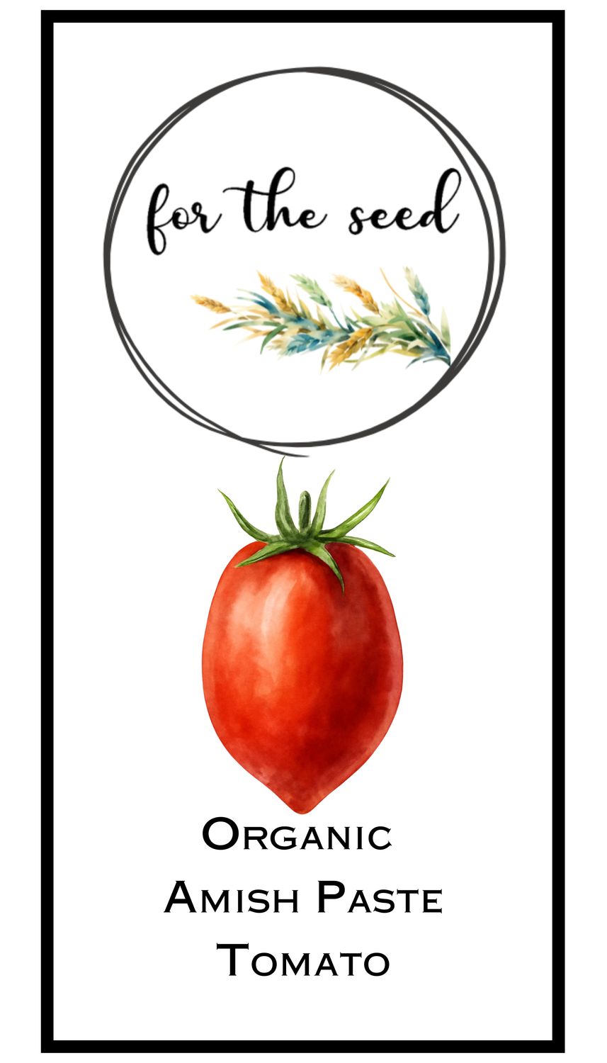 Organic Amish Paste Tomato