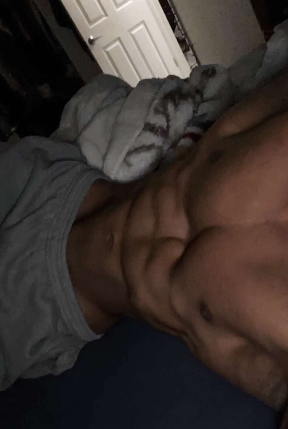 Shredded Body Workout Program