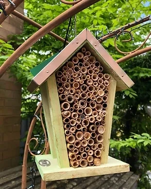 Wildlife Care