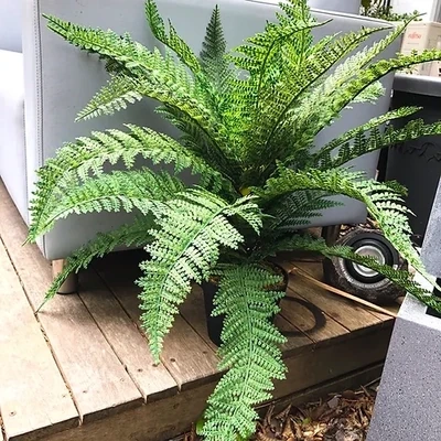Artificial Plants