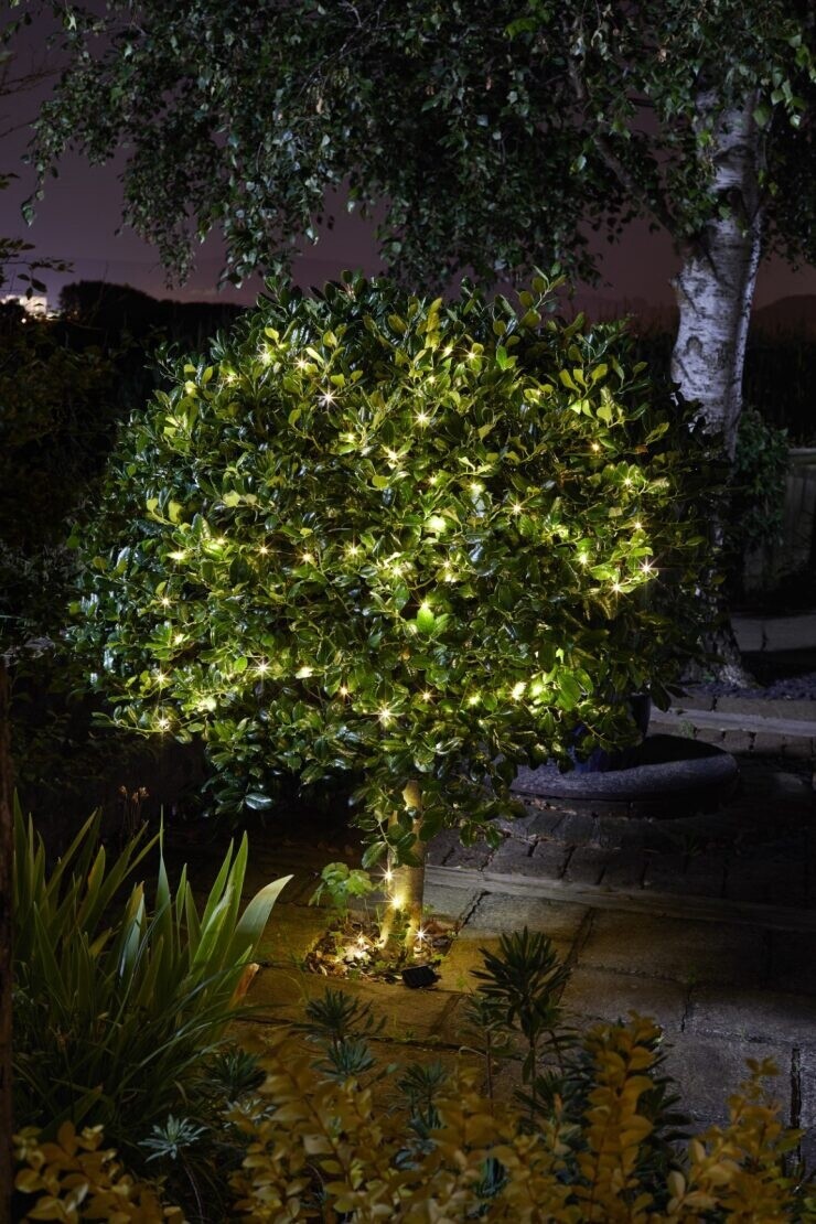 100 Firefly String Lights - Warm