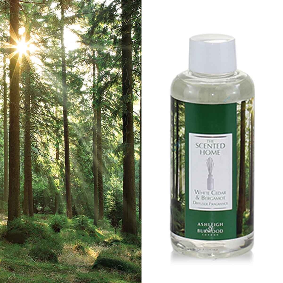 Scented Home Refill White Cedar &amp; Bergamot