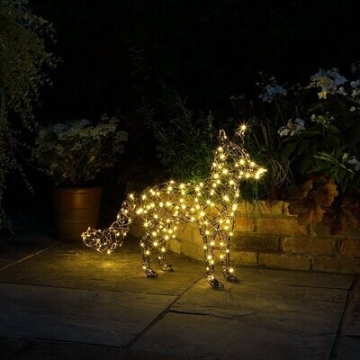 Outdoor Lights