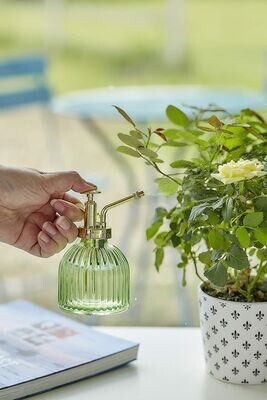 Plant Care