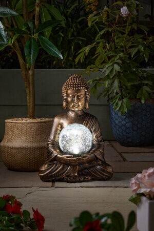 Gazing Buddha