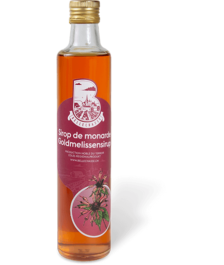 Sirop de fleurs de monarde