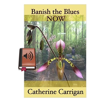 Bannish The Blues (Audio Book - MP3)