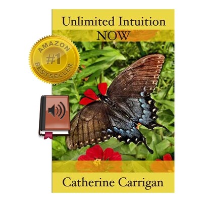 Unlimited Intuition NOW (Audio Book - MP3)