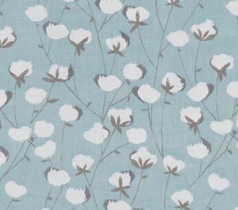 Cotton Canvas