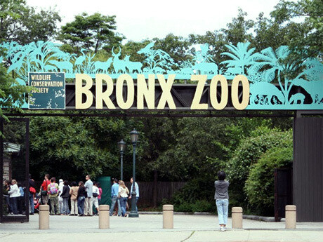 Bronx Zoo
June 15, 2024