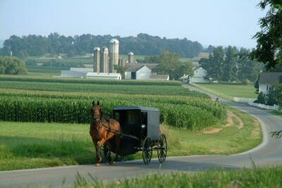 Amish Country Tour 4 day May 28-31, 2024