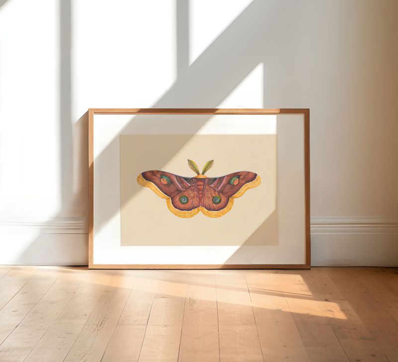 Butterfly effect