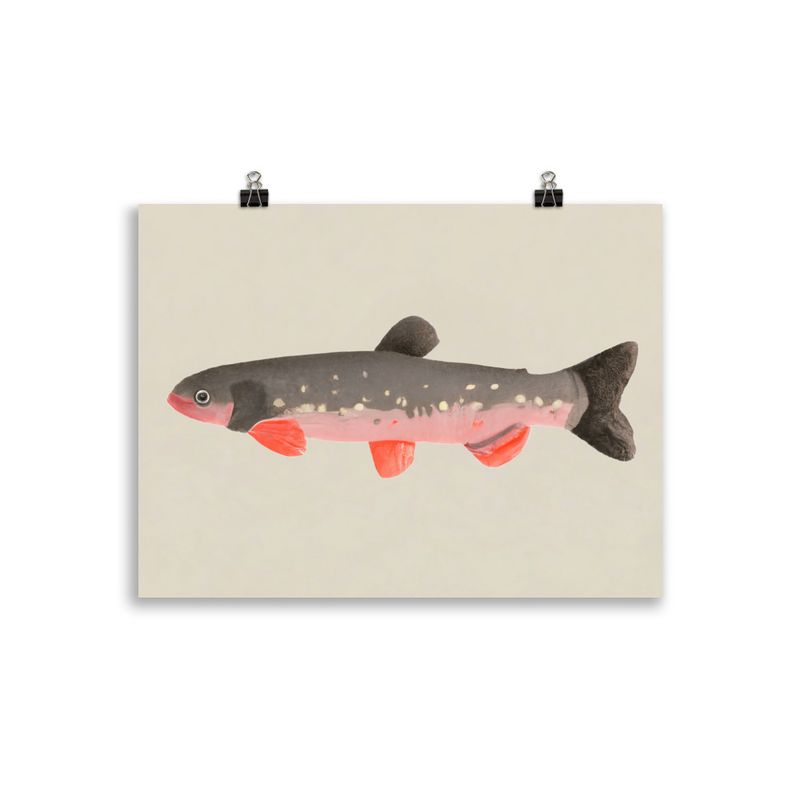 Still fishy