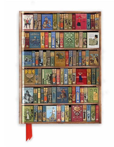 Bodleian Libraries: High Jinks Bookshelves Blank Journal