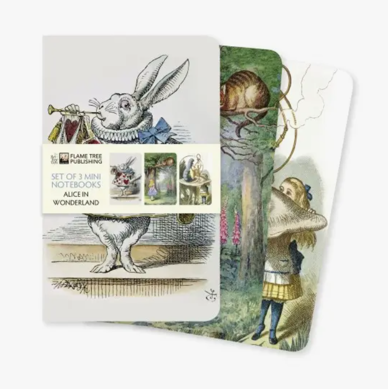 Alice In Wonderland Set of 3 Mini Notebooks