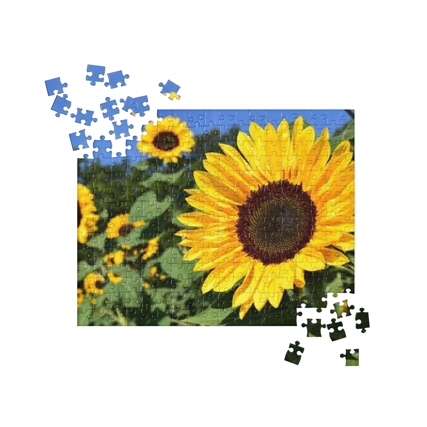 Sunflower Jigsaw puzzle #1