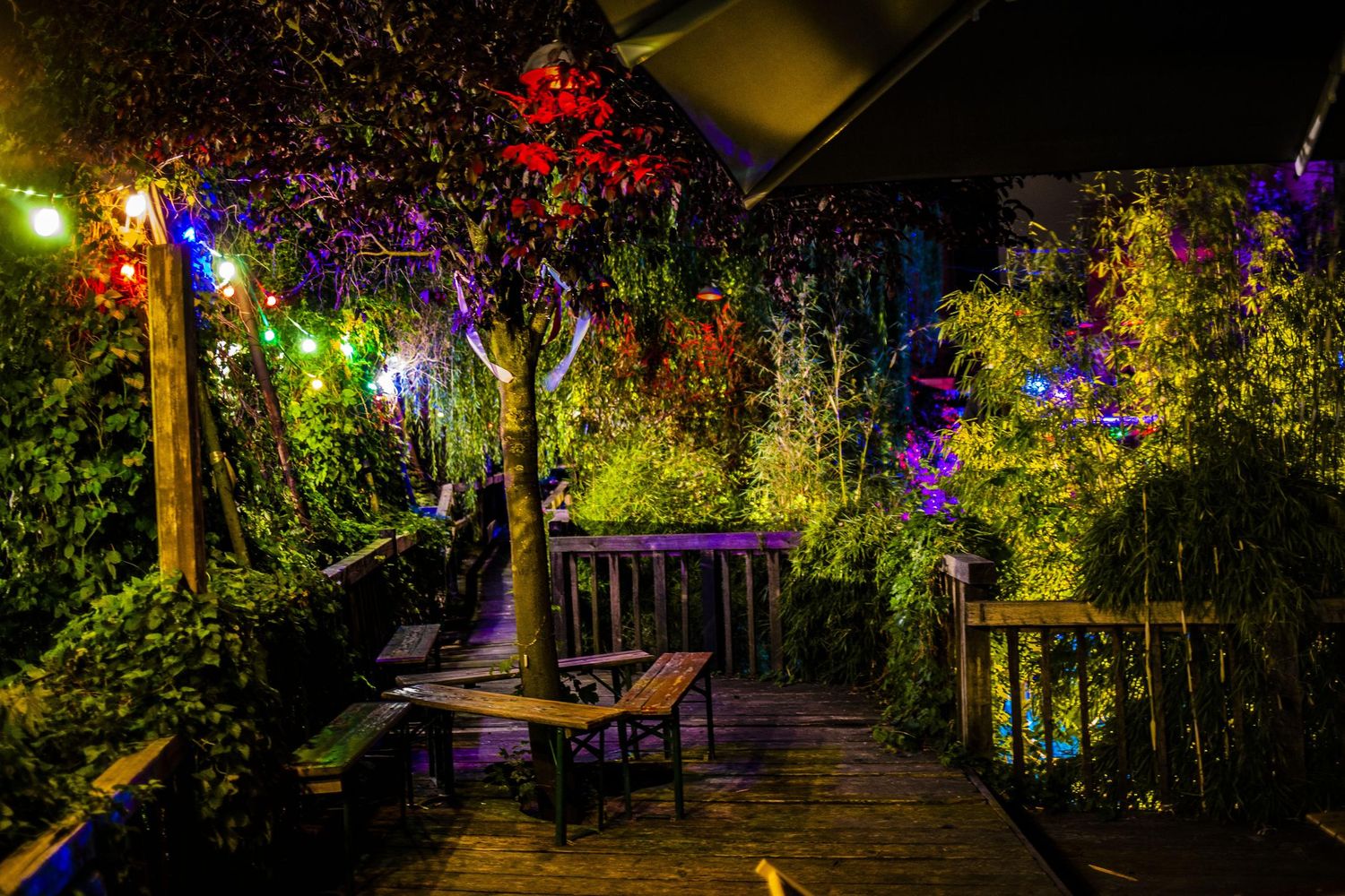 Natural Selection Sommerfest