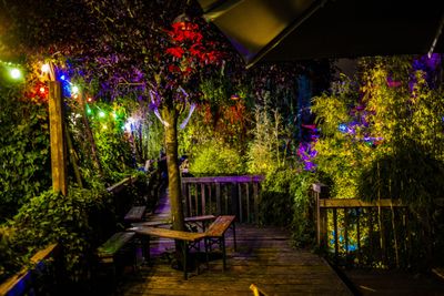 Natural Selection Sommerfest