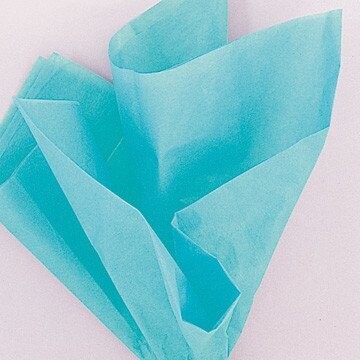 Tissue Gift Wrap-Teal Green-10 Sheets (20&quot;x26&quot; Each)