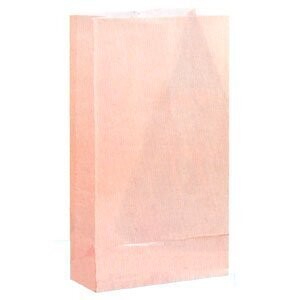 Loot Bags-Pastel Pink-12pkg-10&quot;x5.25&quot;x3.5&quot;