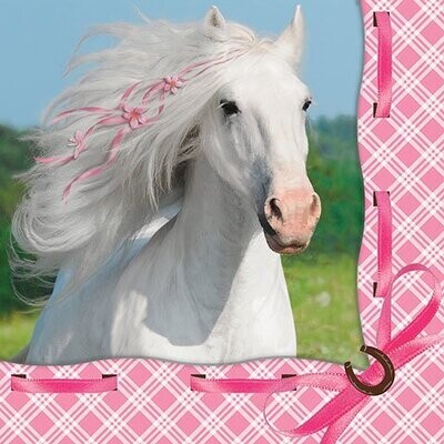 Napkins-LN-Heart My Horse-16pkg-3ply- Discontinued