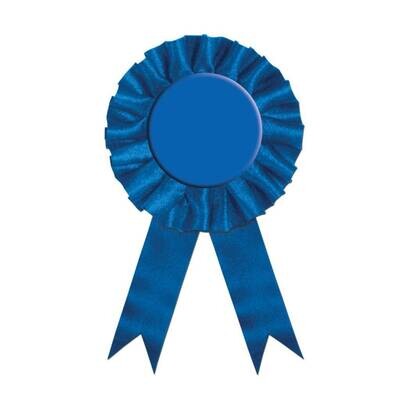 Award Ribbon-Plain Blue-1pkg-6.5&quot;