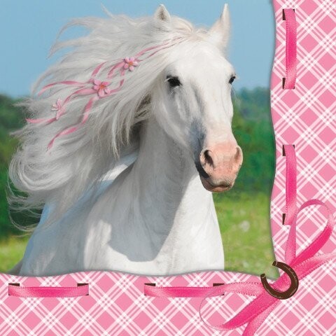 Napkins-BEV-Heart My Horse-16pkg-3ply- Final Sale