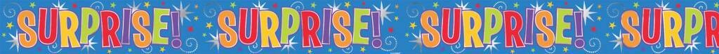 Foil Banner- Surprise! (12ft x 5&quot;)