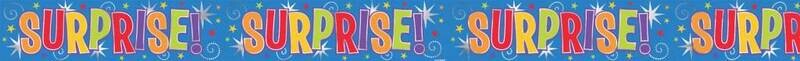 Foil Banner- Surprise! (12ft x 5&quot;)