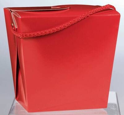 Paper Pail-Red/Large