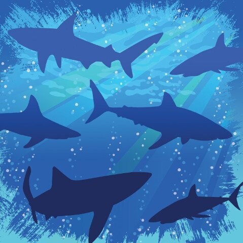 Napkins - BEV - Shark Splash - 16pkg - 3ply