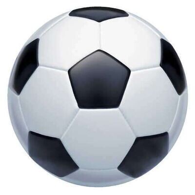 Cutout-Soccer Fanatic-1pkg-15&quot;