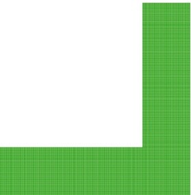 Napkins-LN-Textured Citrus Green Border-24pkg-3ply- Discontinued