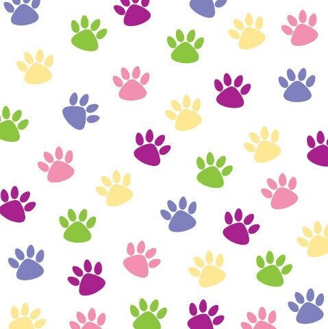 Napkins-BEV-Purr-ty Time-16pkg-2ply