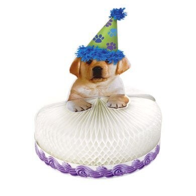 Centerpiece-Honeycomb-Puppy Party-1pkg