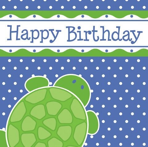 Luncheon Napkins-Mr. Turtle Birthday-16pkg-3ply-Discontinued/Final Sale