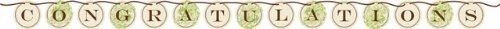 Jointed Banner-Ribbon-Wedding Shower Wishes-1pkg-5.5ft