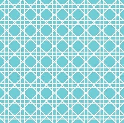 Napkins-BEV-Cane Tropical Teal-24pkg-3ply