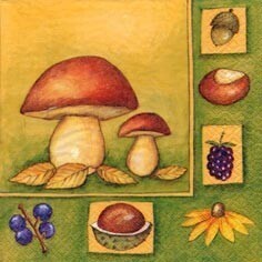 Napkins-LN-Mushrooms &amp; Friends-20pkg-3ply (Discontinued/Final Sale)