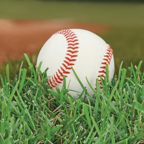 Napkins-LN-Baseball Fanatic-18pkg-2ply