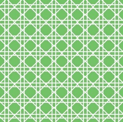 Napkins-BEV-Cane Citrus Green-24pkg-3ply (Discountinued/Final Sale)
