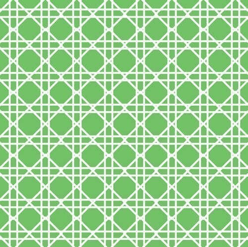 Napkins-BEV-Cane Citrus Green-24pkg-3ply (Discountinued/Final Sale)