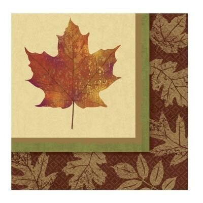Napkins-BEV-Fall Elegance-16pk-2ply