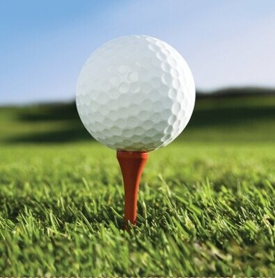 Napkins-LN-Golf Fanatic-16pkg-2ply